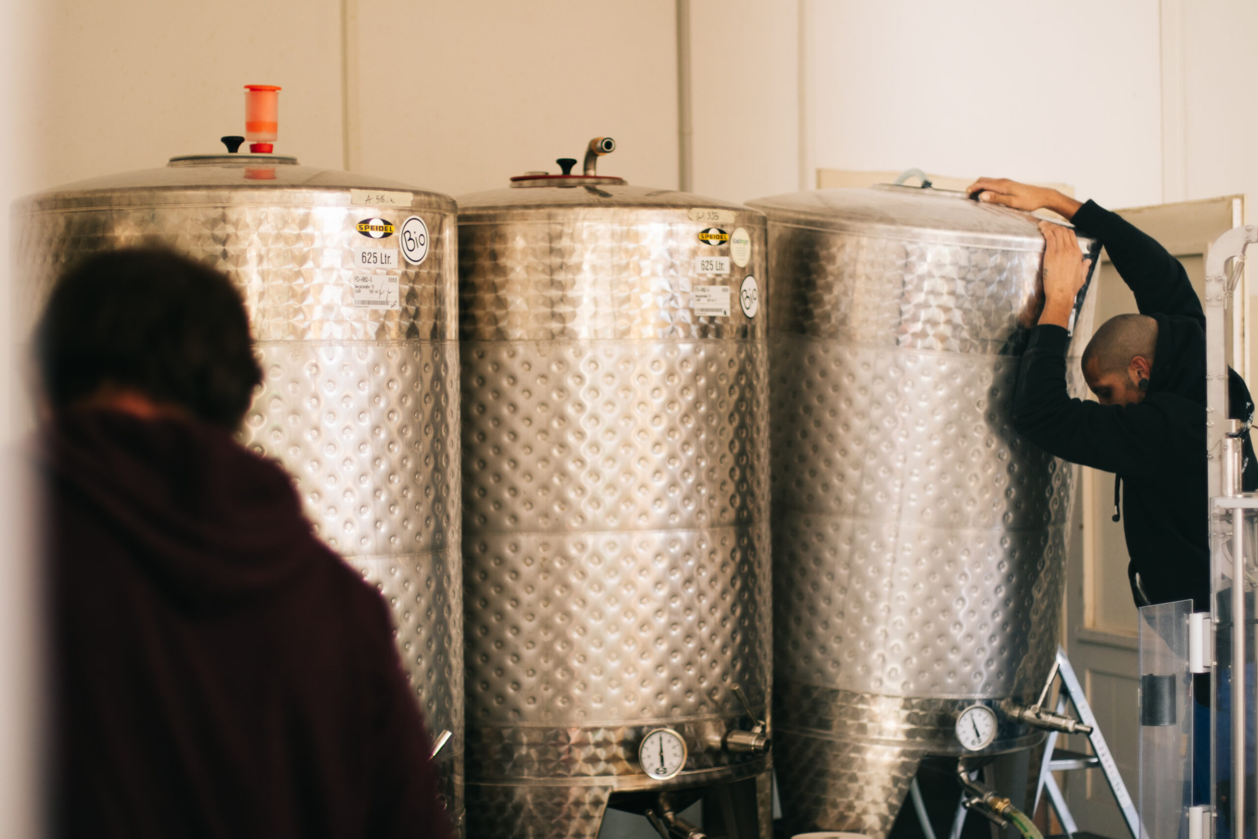 Brasserie blanche pierre 2eme sess-7