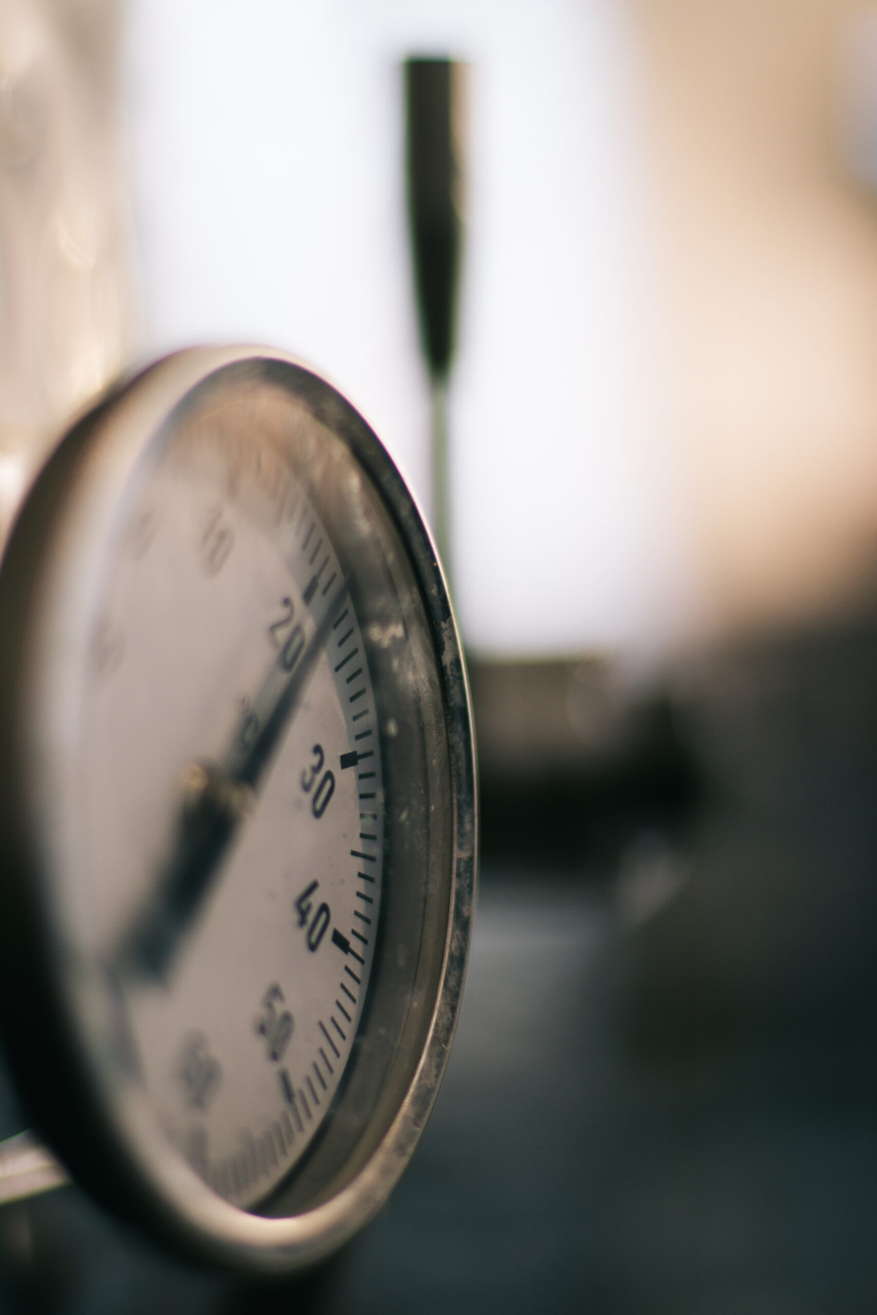 Brasserie blanche pierre-3