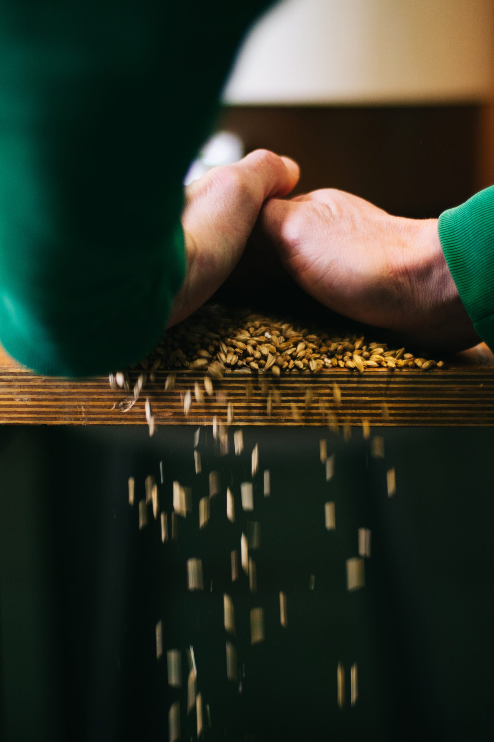 Brasserie blanche pierre-38